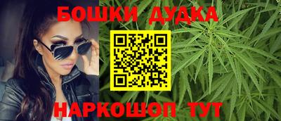 гидра Кандалакша