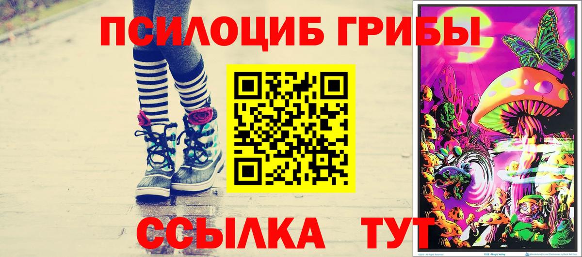 Галлюциногенные грибы Psilocybine cubensis  Вход с VPN  Крымск 