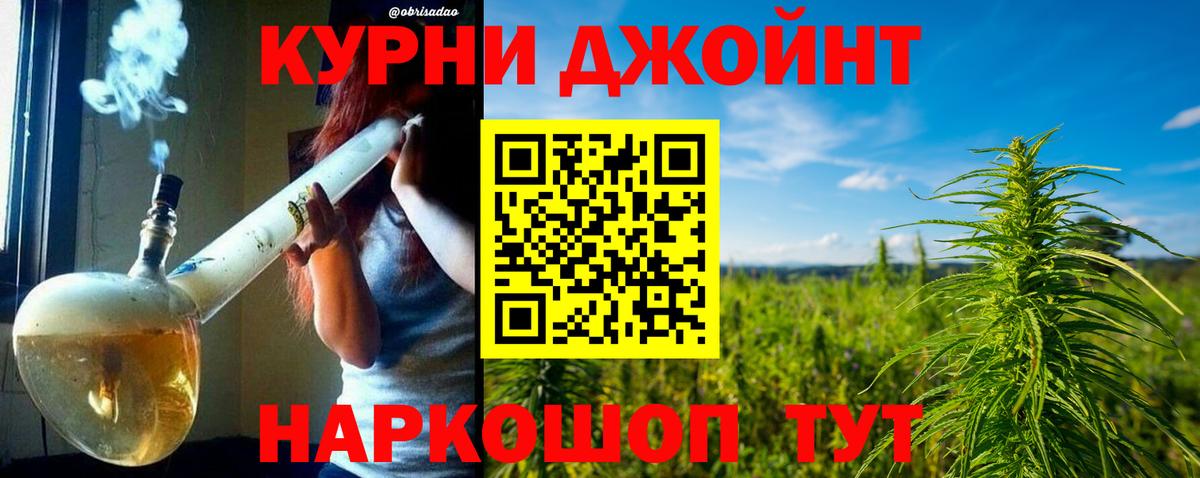 Бошки Шишки план Крымск